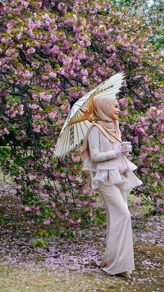 日本中心地区还有这么大片樱花林?这也太美了吧,绿意盎然19