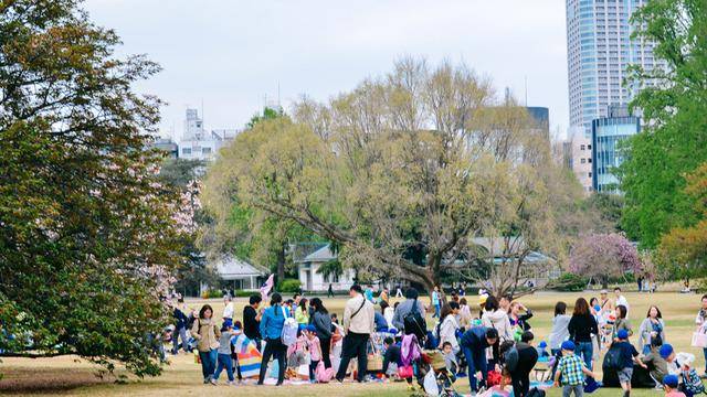 日本中心地区还有这么大片樱花林?这也太美了吧,绿意盎然28