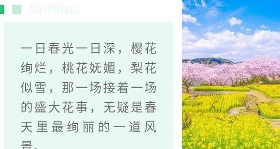 油菜花开春意浓,最浪漫的花海之旅指南1
