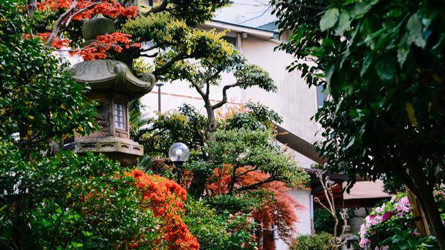 日本镰仓江之岛,好玩又好逛,文艺气息满满20