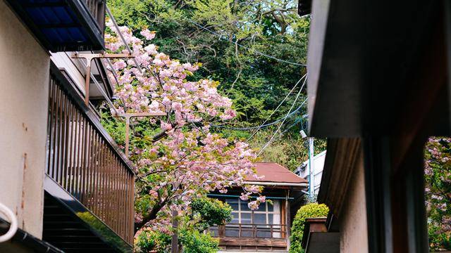 日本镰仓江之岛,好玩又好逛,文艺气息满满21