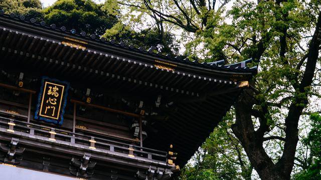 日本镰仓江之岛,好玩又好逛,文艺气息满满29