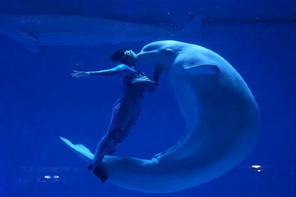 芜湖一日游必去景点推荐20221