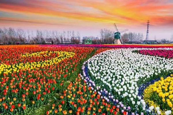 芜湖一日游必去景点推荐20225