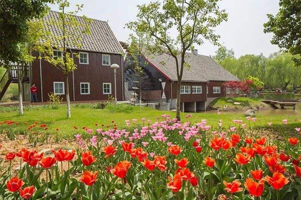 南京春游的地方 哪里好玩1