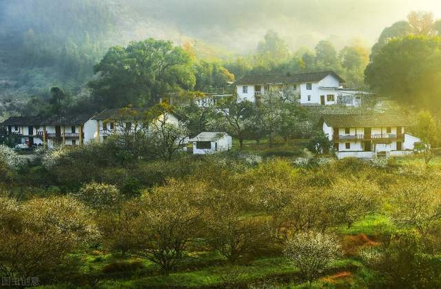 中国式父母：一辈子都在等，等老了才后悔3