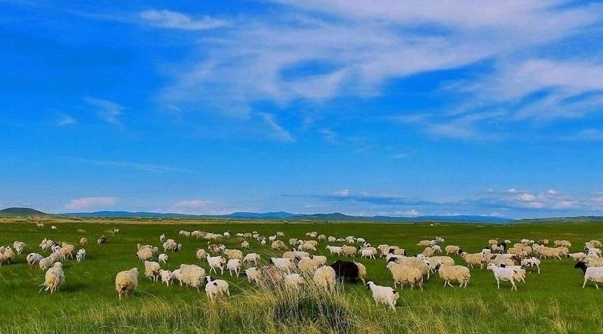 原创 为什么南美洲南部的拉普拉塔平原，自然带以草原为主而不是森林？3