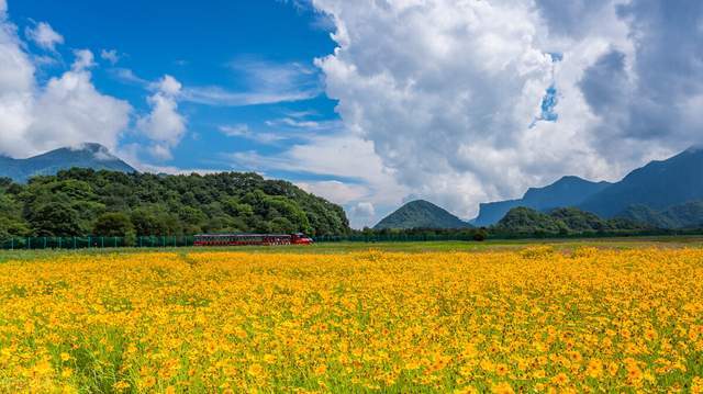 中国式父母：一辈子都在等，等老了才后悔5