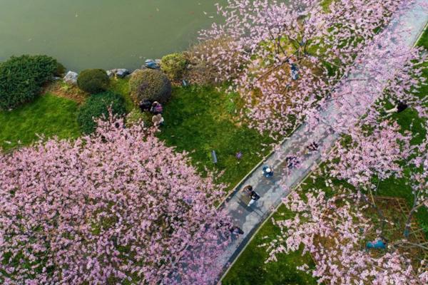 2022东湖赏花年票价格及包含景点2