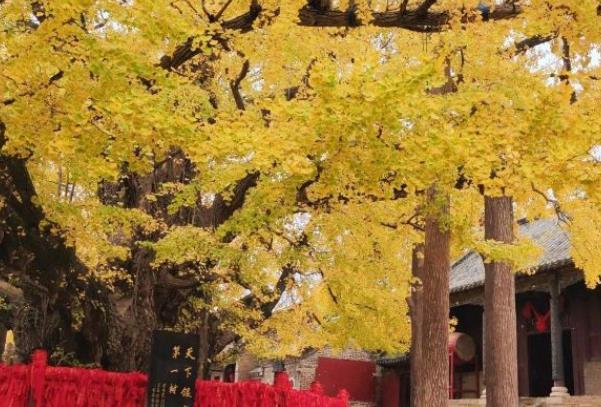 浮来山在哪个地方 什么时候去最好3