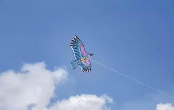 重庆渝北哪里适合放风筝3