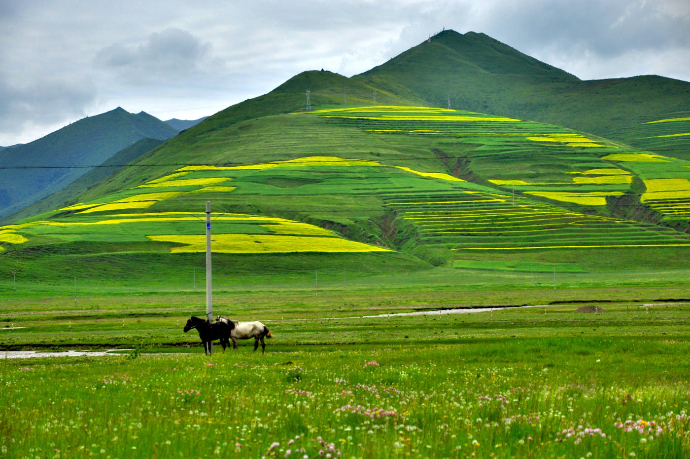 它被誉为是“小西藏”,风景美的让人心醉,颠覆你对大西北的认知2