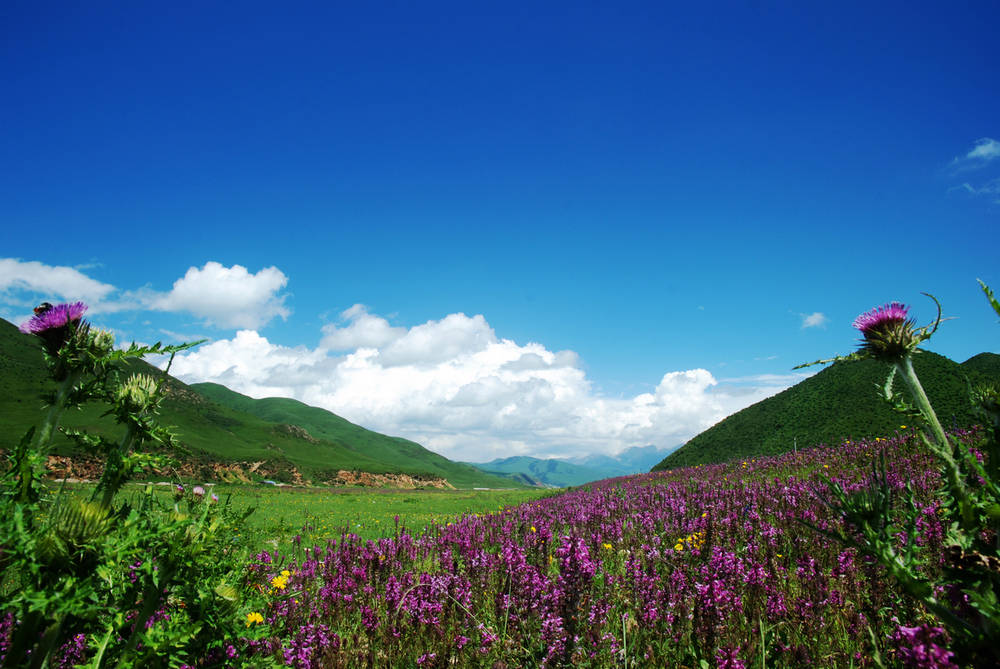 它被誉为是“小西藏”,风景美的让人心醉,颠覆你对大西北的认知9