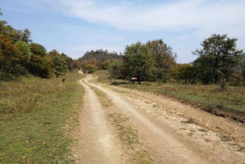 秦始皇修的“高速公路”，从咸阳到包头，宽度50米长700公里5