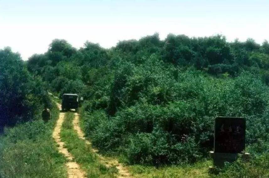 秦始皇修的“高速公路”，从咸阳到包头，宽度50米长700公里7