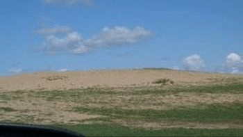 高原鼠兔是草原退化“元凶”？数量已达12亿，为何专家称是好事？5