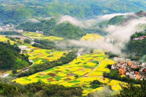 油菜花怎么拍照才好看 附详细教程1