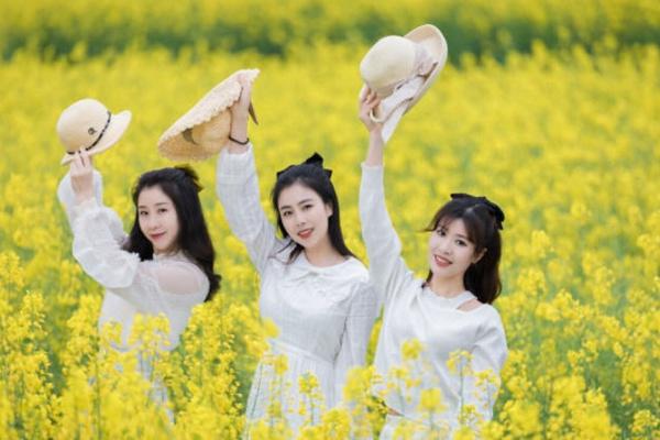 油菜花怎么拍照才好看 附详细教程5