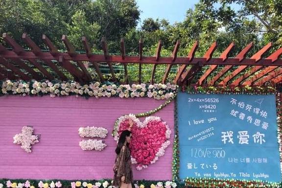 欲穷三亚景 唯有凤凰岭8