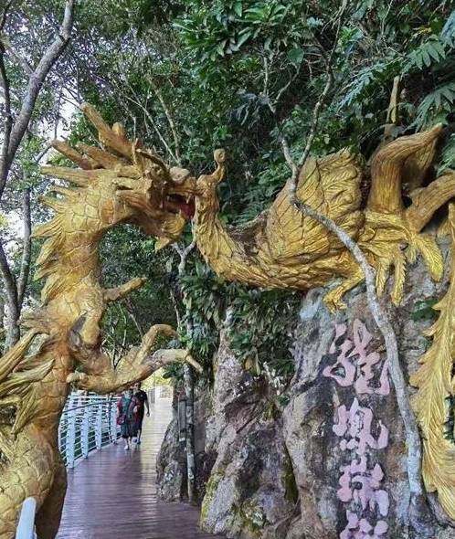 欲穷三亚景 唯有凤凰岭9