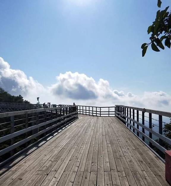 欲穷三亚景 唯有凤凰岭10