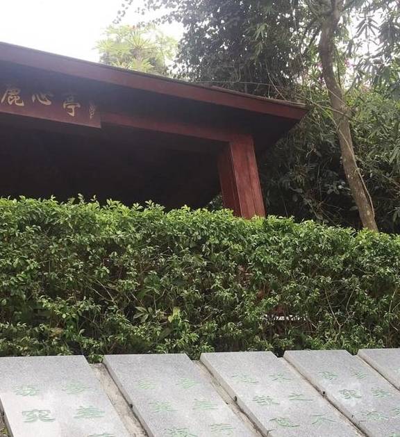 欲穷三亚景 唯有凤凰岭11