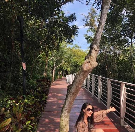 欲穷三亚景 唯有凤凰岭12