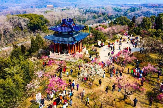 岁岁春草生，踏青二三月｜五大踏青胜地为你展现最美春景6