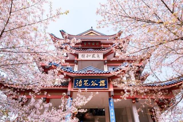 岁岁春草生，踏青二三月｜五大踏青胜地为你展现最美春景8