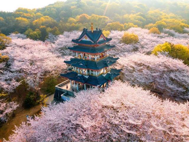 岁岁春草生，踏青二三月｜五大踏青胜地为你展现最美春景9