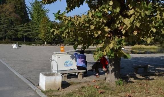 走进朝鲜：中国游客眼中的朝鲜妇女形象1