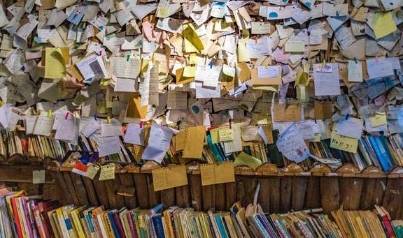 距离肇庆七星湖步行10分钟,便可到这条文艺小路,年轻人的最爱11