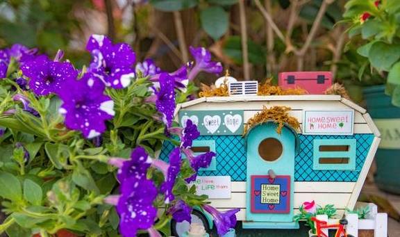 距离肇庆七星湖步行10分钟,便可到这条文艺小路,年轻人的最爱12