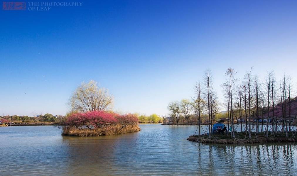 杭州踏青好去处,有山有水有花海,停车方便免门票,知道的人不多2