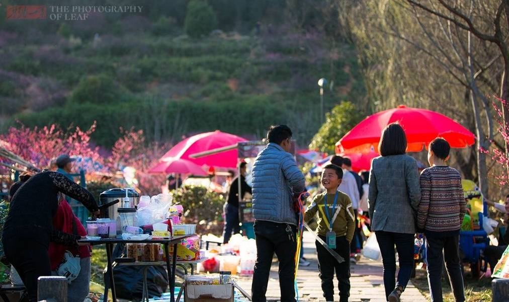 杭州踏青好去处,有山有水有花海,停车方便免门票,知道的人不多3
