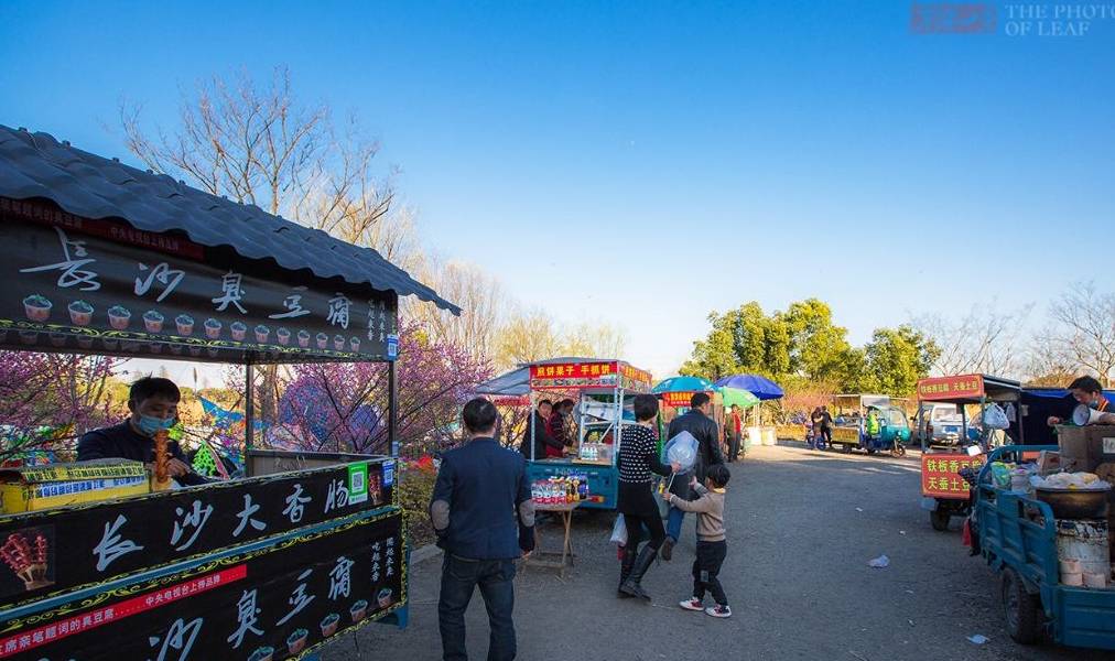 杭州踏青好去处,有山有水有花海,停车方便免门票,知道的人不多5