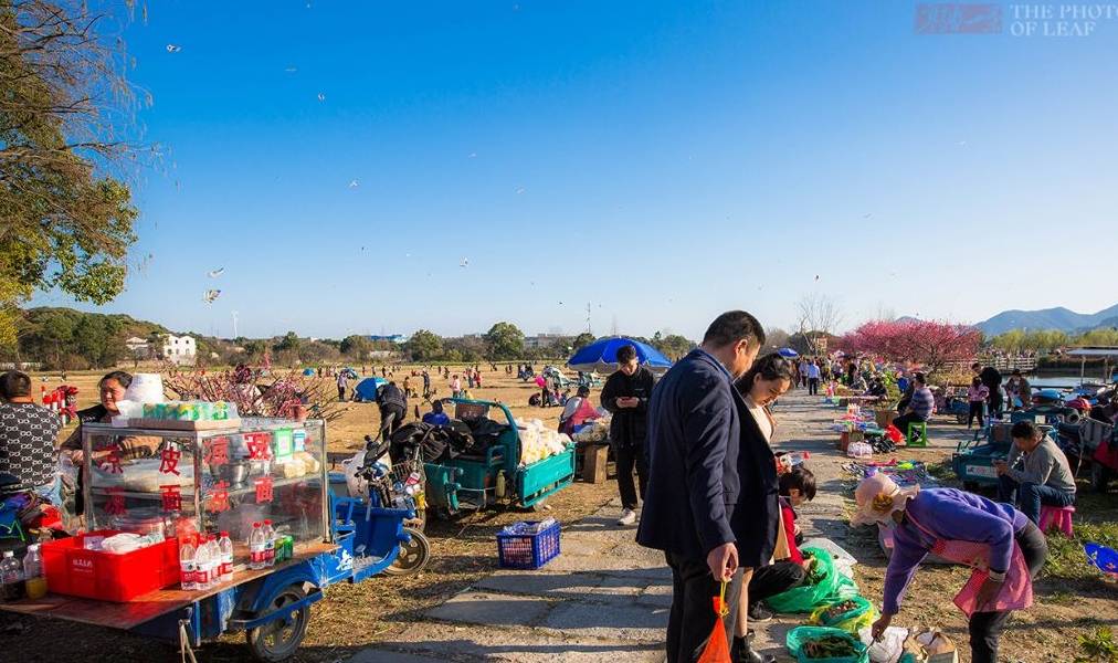 杭州踏青好去处,有山有水有花海,停车方便免门票,知道的人不多6