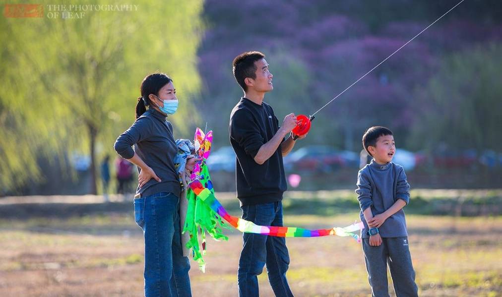杭州踏青好去处,有山有水有花海,停车方便免门票,知道的人不多8