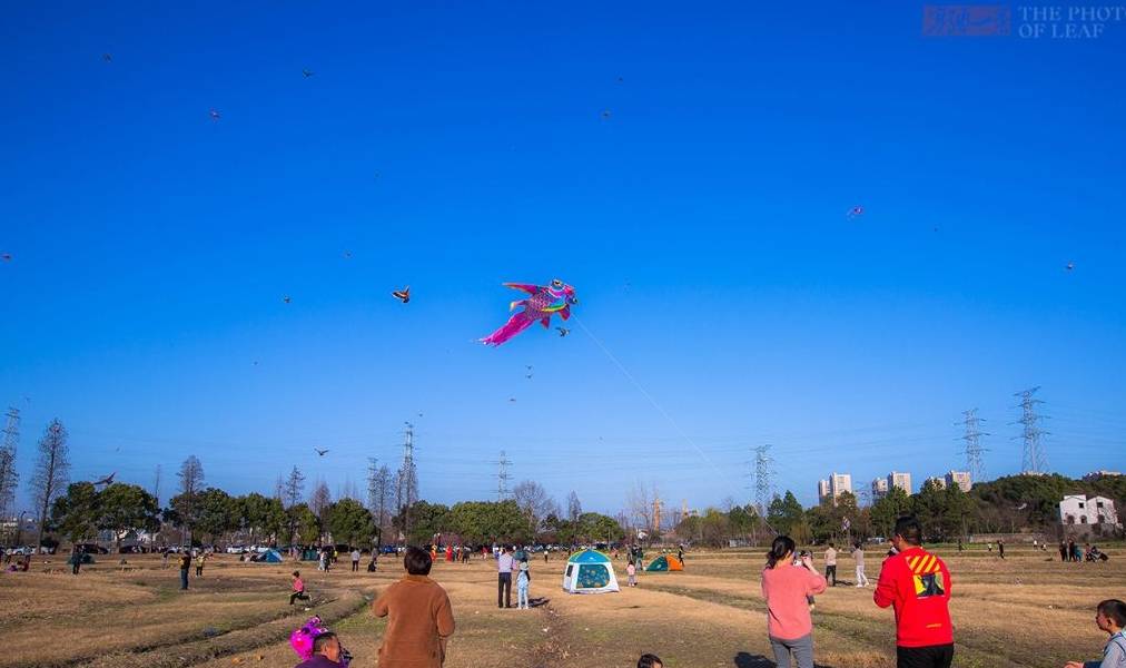 杭州踏青好去处,有山有水有花海,停车方便免门票,知道的人不多9