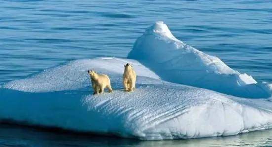 全球变暖将停止，全球要开始降温了？专家表示将会冷得离谱3