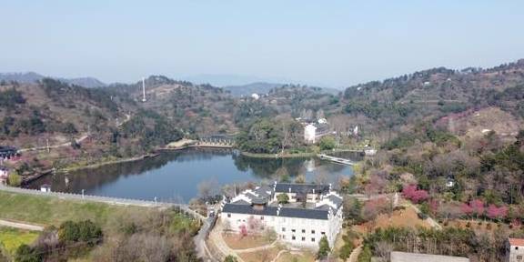 武汉最新网红赏花地,黄陂花乡茶谷,游人:像极了日本樱花小镇3