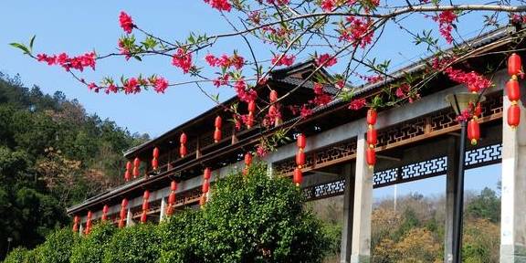 武汉最新网红赏花地,黄陂花乡茶谷,游人:像极了日本樱花小镇5