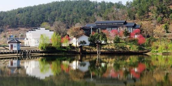 武汉最新网红赏花地,黄陂花乡茶谷,游人:像极了日本樱花小镇6