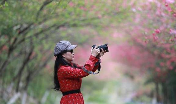 武汉最新网红赏花地,黄陂花乡茶谷,游人:像极了日本樱花小镇11