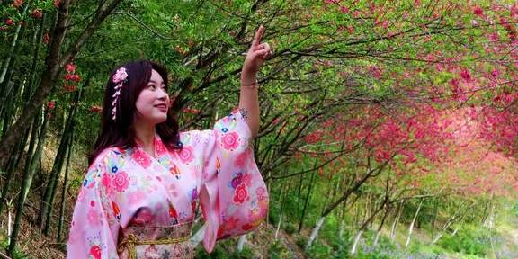 武汉最新网红赏花地,黄陂花乡茶谷,游人:像极了日本樱花小镇10
