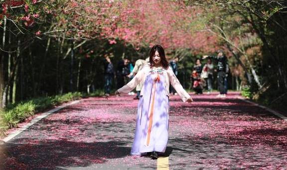 武汉最新网红赏花地,黄陂花乡茶谷,游人:像极了日本樱花小镇12