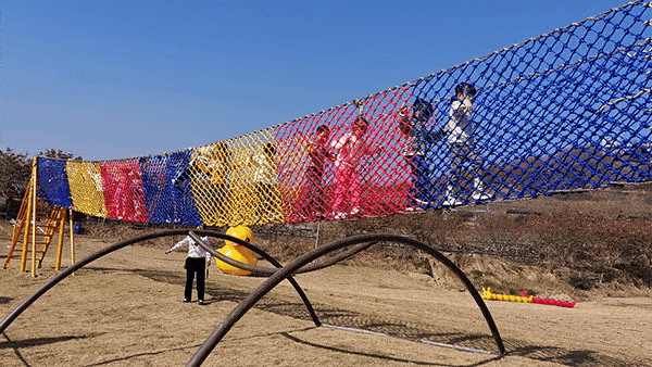 樱花烂漫几多时？杭州这处600亩樱花谷，承包杭州人45天的浪漫樱花期13