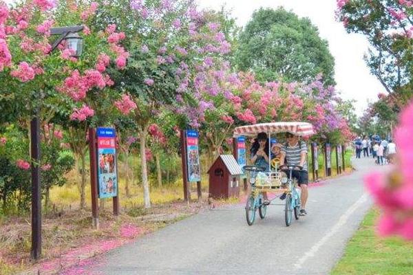 2022湖北景区三八妇女节半价及免门票优惠活动汇总2