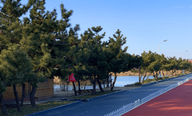 山东日照又迎一所大型公园,占地248公顷,将成为首个山地公园4