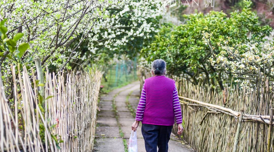 春光中的重庆,花岩万亩梨花皑皑如雪,景美人少免费开放,约起来8